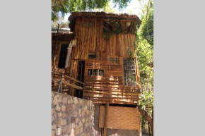 La Casa entre los Árboles en el Valle de Elqui Montegrande
